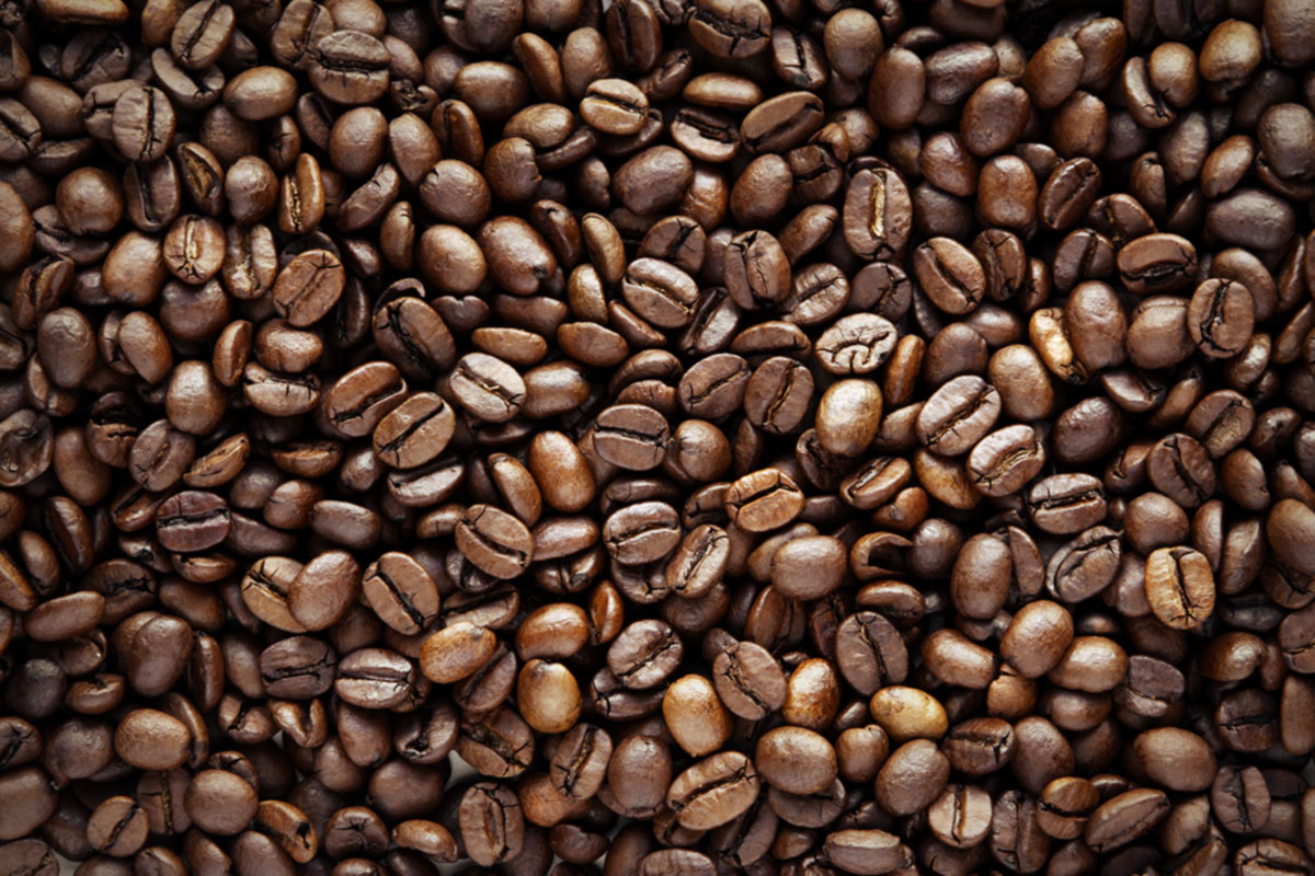 Nos grains de café